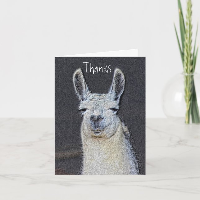 Tarjeta De Agradecimiento Cute Llama Face Animal Art (Anverso)
