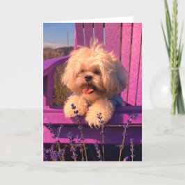 Tarjeta De Agradecimiento Cute Shih Tzu Sonriente Cachorro (Días del Perro)