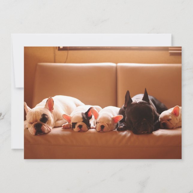 Tarjeta De Agradecimiento Cutest Baby Animals | French Bulldog Family (Anverso)