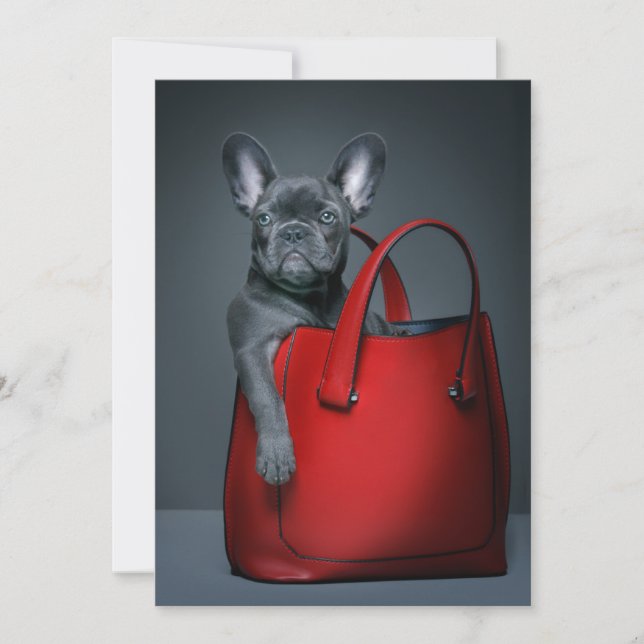 Tarjeta De Agradecimiento Cutest Baby Animals | French Bulldog in Handbag (Anverso)