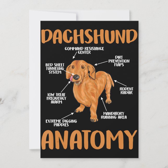 Tarjeta De Agradecimiento Dachshund Cute Regalos Wiener Doxie Lovers (Anverso)