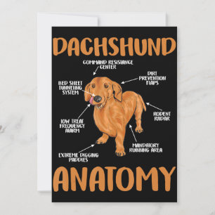 Tarjeta De Agradecimiento Dachshund Cute Regalos Wiener Doxie Lovers
