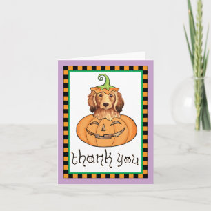 Tarjeta De Agradecimiento Dachshund de cabello largo de Halloween Gracias