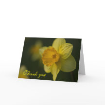 Tarjeta de agradecimiento Daffodil