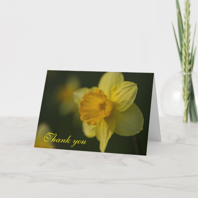 Tarjeta de agradecimiento Daffodil (Anverso)