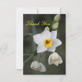 Tarjeta de agradecimiento Daffodil