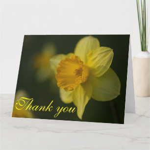Tarjeta De Agradecimiento Daffodil