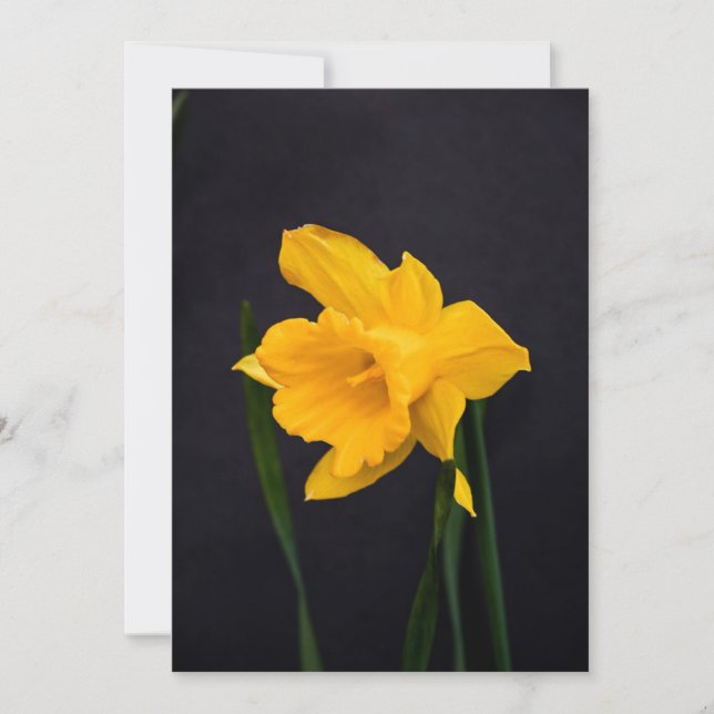 Tarjeta De Agradecimiento Daffodil amarillo (Anverso)