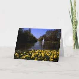 Tarjeta De Agradecimiento Daffodils St James Park Londres