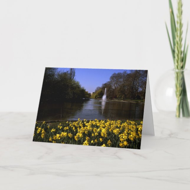 Tarjeta De Agradecimiento Daffodils St James Park Londres (Anverso)