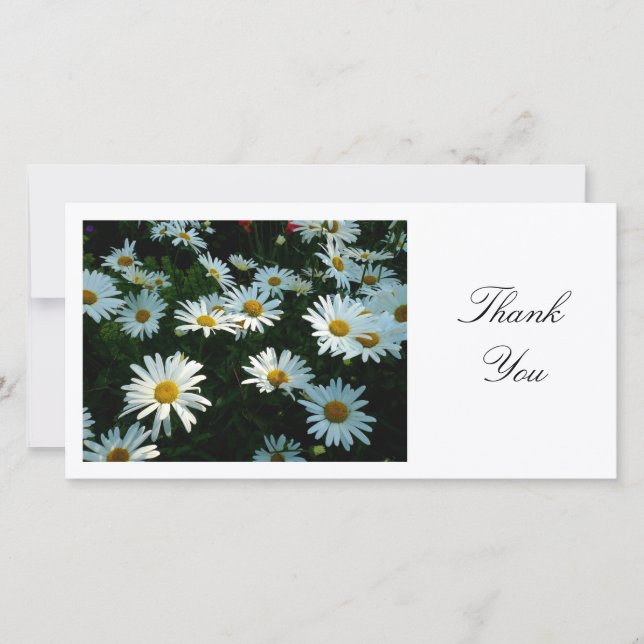 Tarjeta De Agradecimiento Daisies - Gracias (Anverso)