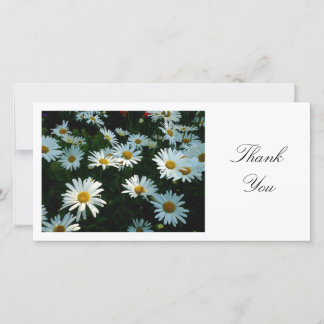 Tarjeta De Agradecimiento Daisies - Gracias