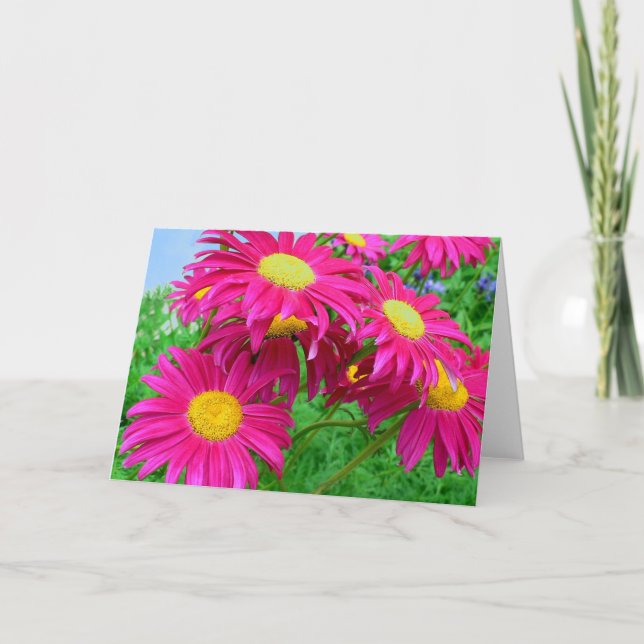Tarjeta De Agradecimiento Daisies rosados calientes (Anverso)