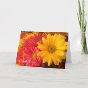 Tarjeta De Agradecimiento Daisies rosados y amarillos gracias