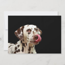 Tarjeta De Agradecimiento Dalmatiner