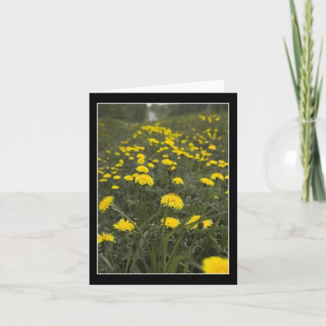 Tarjeta De Agradecimiento Dandelions de Minnesota (Anverso)