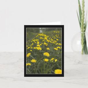 Tarjeta De Agradecimiento Dandelions de Minnesota