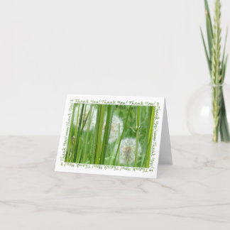 Tarjeta De Agradecimiento Dandelions in Green Grass Gracias