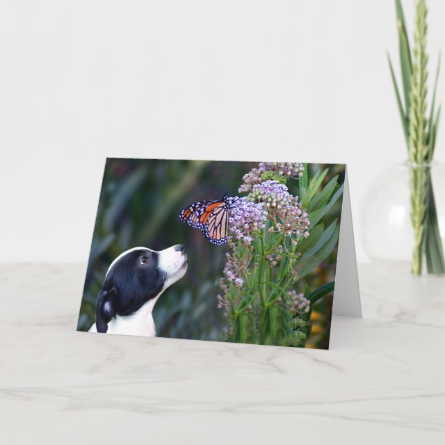 Tarjeta De Agradecimiento Darling Gracias Por Sentarse Mascota (Anverso)