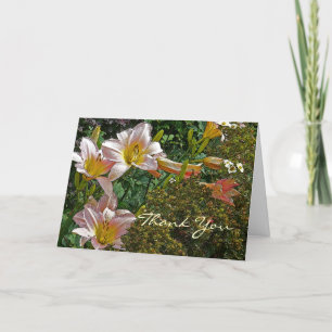 Tarjeta De Agradecimiento DAY LILIES , "Gracias, fue tan amable contigo"