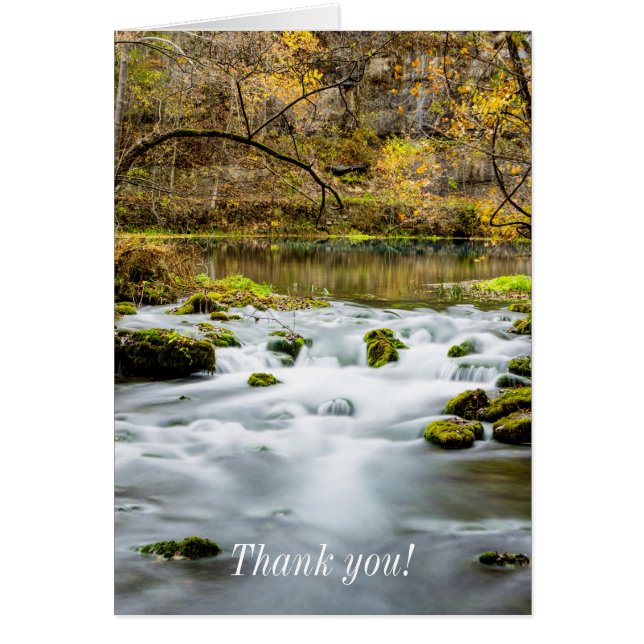 Tarjeta de agradecimiento de Alley Springs Rapids (Frente)