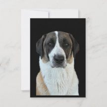 Tarjeta de agradecimiento de Anatolian Shepherd