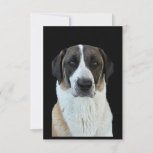 Tarjeta de agradecimiento de Anatolian Shepherd