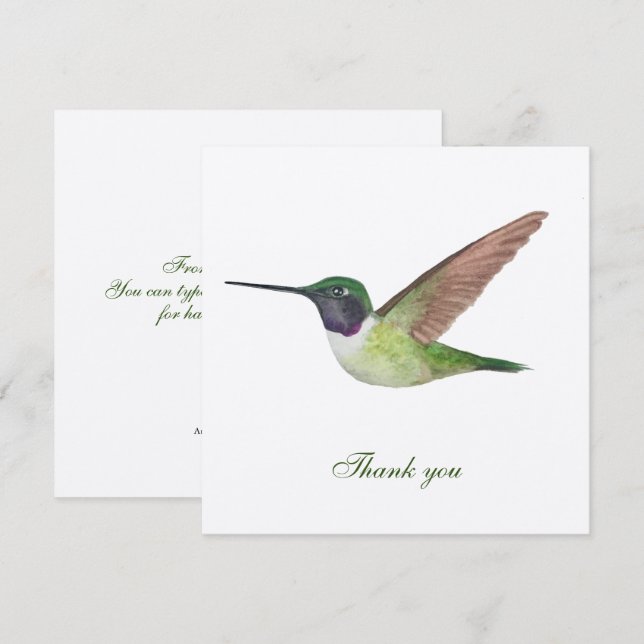 Tarjeta de agradecimiento de Anna's Hummingbird (Anverso / Reverso)