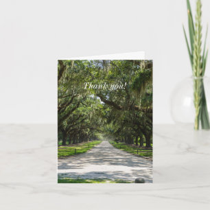Tarjeta de agradecimiento de Avenue Of Oaks