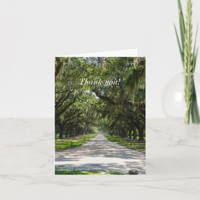 Tarjeta de agradecimiento de Avenue Of Oaks (Anverso)