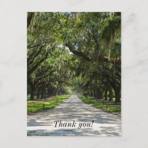 Tarjeta de agradecimiento de Avenue Of Oaks