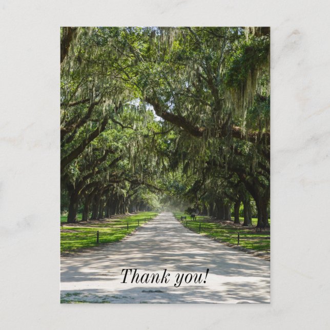 Tarjeta de agradecimiento de Avenue Of Oaks (Anverso)