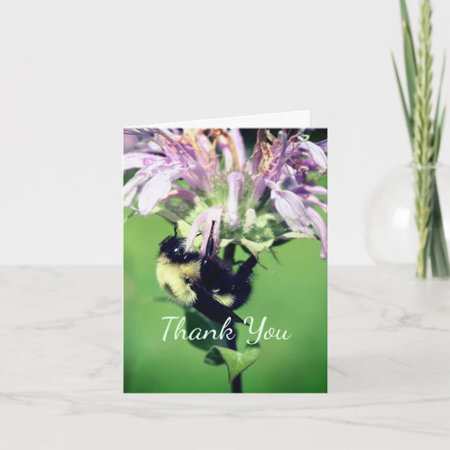 Tarjeta de agradecimiento de Bee Balm Flower (Anverso)