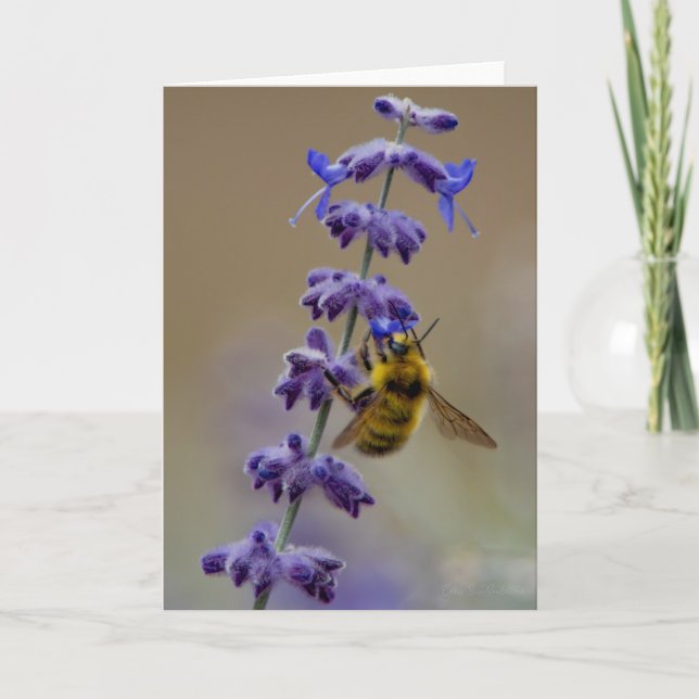 Tarjeta de agradecimiento de Bee-N-Lavender (Anverso)