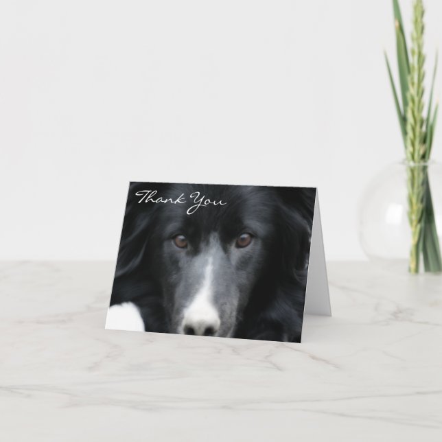 Tarjeta de agradecimiento de Black Border Collie F (Anverso)