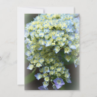 Tarjeta de agradecimiento de Blue Flower Flat