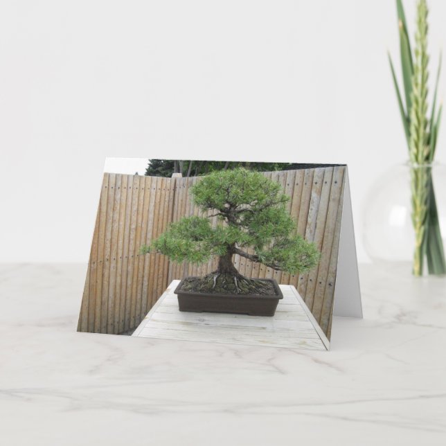 Tarjeta de agradecimiento de Bonsai Mugo Pine (Anverso)