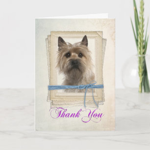 Tarjeta de agradecimiento de Cairn Terrier