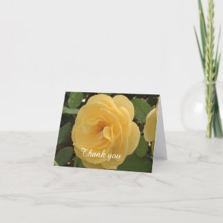 Tarjeta de agradecimiento de Camellia Amarilla