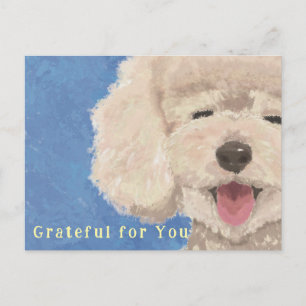 Tarjeta de agradecimiento de Caniche Agradecida co