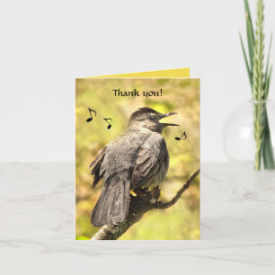 Tarjeta de agradecimiento de canto Gray Catbird