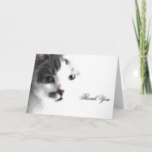 Tarjeta de agradecimiento de cierre de cara de gat