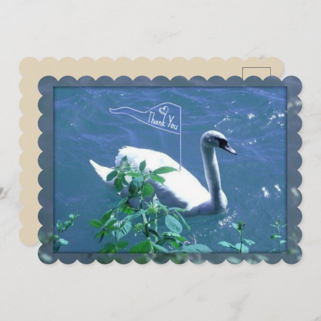 Tarjeta de agradecimiento de Cisne de Vela (Anverso / Reverso)