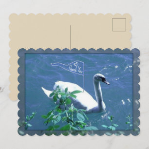 Tarjeta de agradecimiento de Cisne de Vela