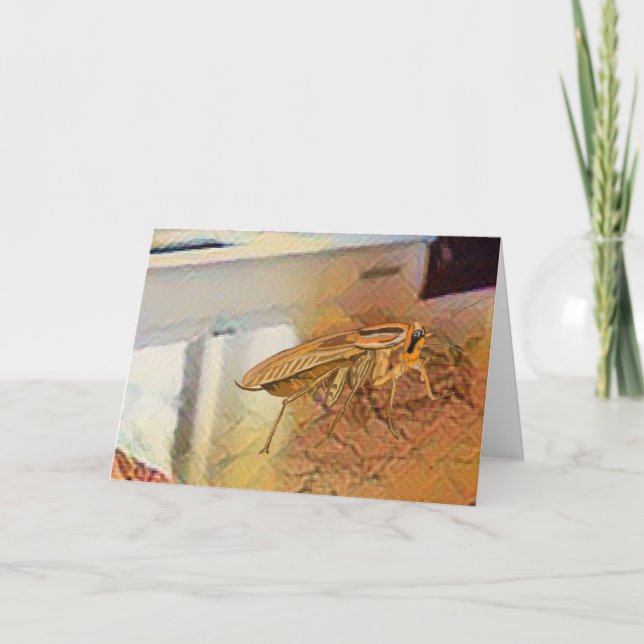 Tarjeta De Agradecimiento 🪳 de Cockroach alemán (Anverso)