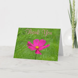 Tarjeta de agradecimiento de Cosmos Rosa