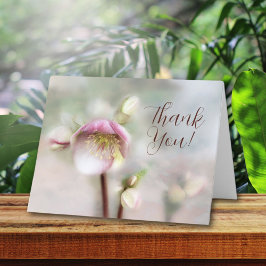 Tarjeta de agradecimiento de Dreamy Helleborus Flo