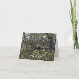 Tarjeta de agradecimiento de Eagle Lookout Painter