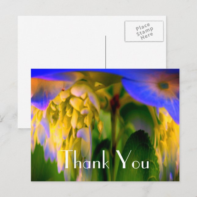 Tarjeta de agradecimiento de Flor Abstracta Horten (Anverso / Reverso)