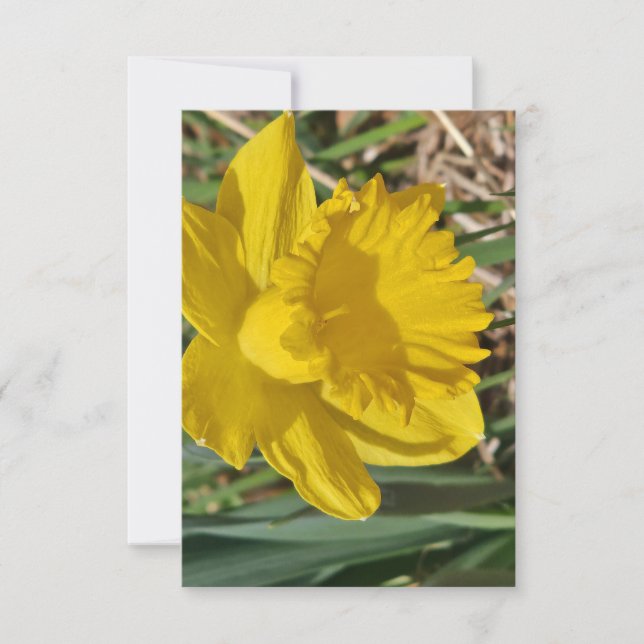 Tarjeta de agradecimiento de flor amarilla (Anverso)